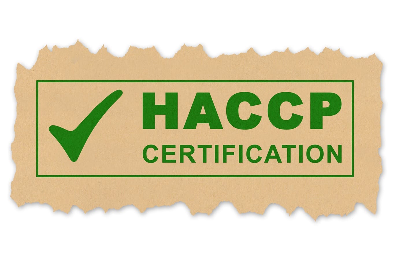 Jakie narzędzia wykorzystuje audytor HACCP podczas kontroli?