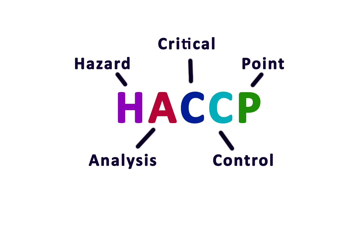 Jakie znaczenie mają audyty HACCP?